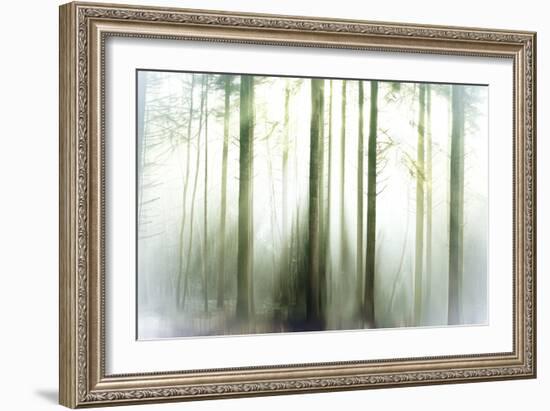 Whiteforest-Viviane Fedieu Daniel-Framed Photographic Print