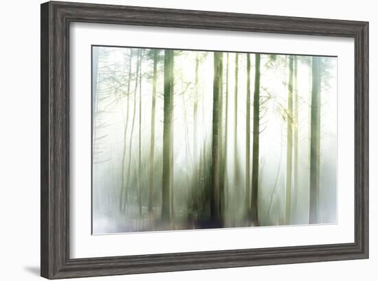 Whiteforest-Viviane Fedieu Daniel-Framed Photographic Print