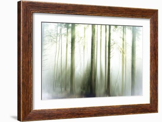 Whiteforest-Viviane Fedieu Daniel-Framed Photographic Print