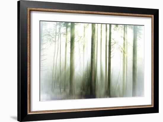 Whiteforest-Viviane Fedieu Daniel-Framed Photographic Print