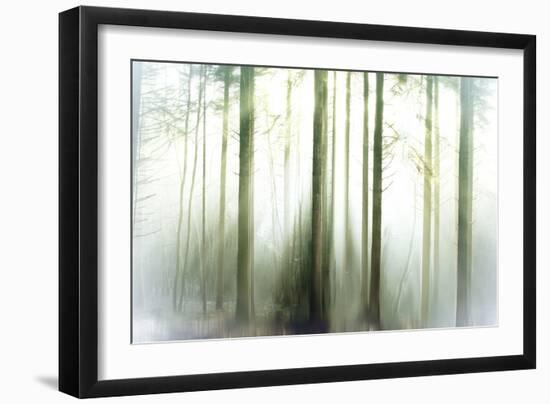 Whiteforest-Viviane Fedieu Daniel-Framed Photographic Print