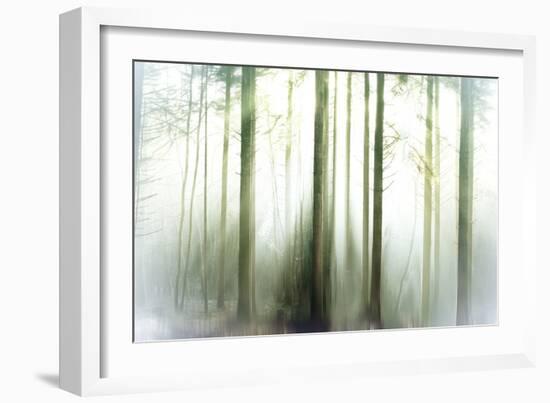 Whiteforest-Viviane Fedieu Daniel-Framed Photographic Print