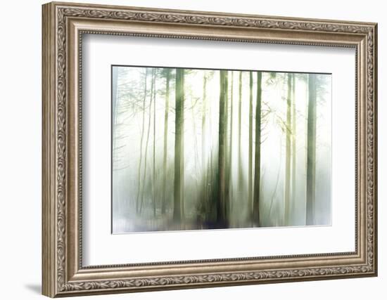 Whiteforest-Viviane Fedieu Daniel-Framed Photographic Print