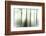 Whiteforest-Viviane Fedieu Daniel-Framed Photographic Print