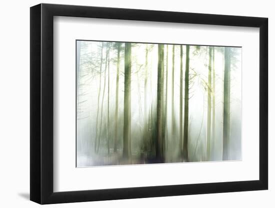 Whiteforest-Viviane Fedieu Daniel-Framed Photographic Print