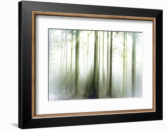 Whiteforest-Viviane Fedieu Daniel-Framed Photographic Print