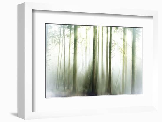 Whiteforest-Viviane Fedieu Daniel-Framed Photographic Print