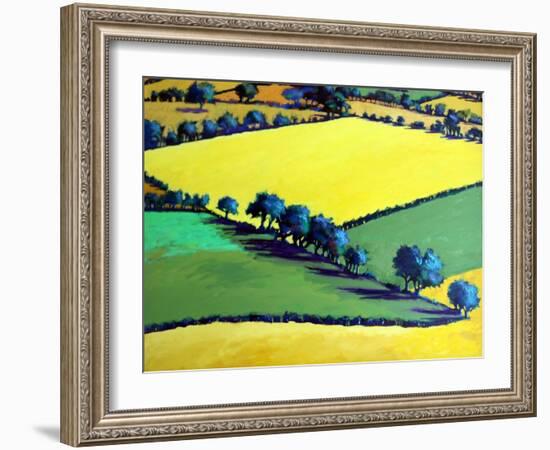 Whiteleaved oak close up-Paul Powis-Framed Giclee Print