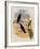 Whitely's Hummingbird, Ionol?ma Whitelyana-John Gould-Framed Giclee Print