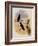 Whitely's Hummingbird, Ionol?ma Whitelyana-John Gould-Framed Giclee Print