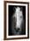 Whitemare-null-Framed Premium Giclee Print