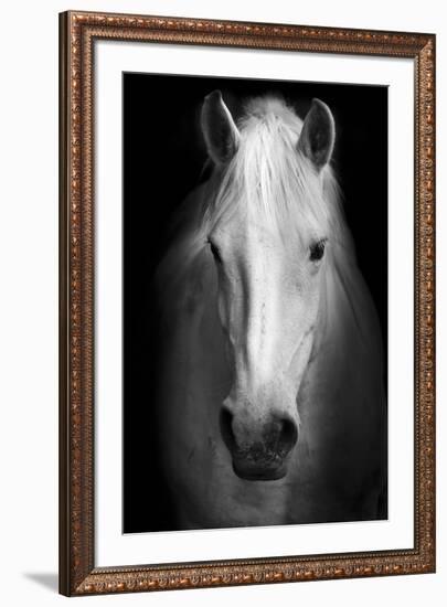 Whitemare-null-Framed Premium Giclee Print