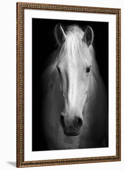 Whitemare-null-Framed Premium Giclee Print