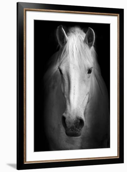 Whitemare-null-Framed Premium Giclee Print