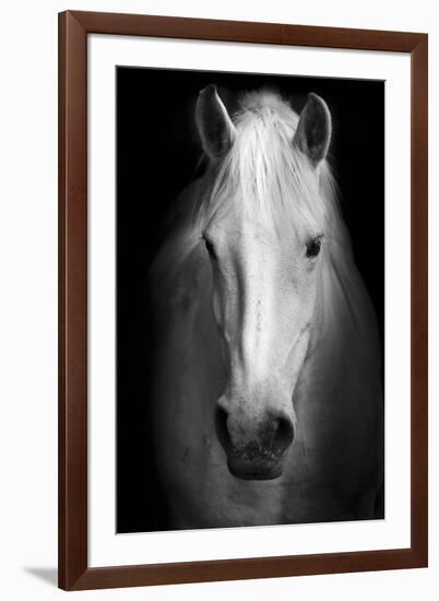 Whitemare-null-Framed Premium Giclee Print