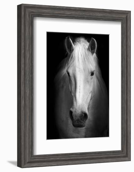 Whitemare-null-Framed Art Print