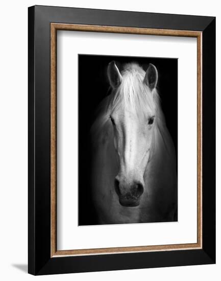 Whitemare-null-Framed Art Print