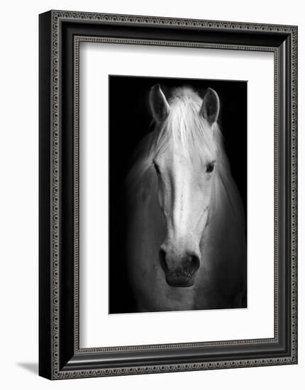 Whitemare-null-Framed Art Print