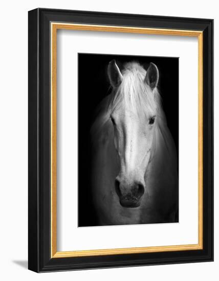 Whitemare-null-Framed Art Print