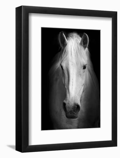 Whitemare--Framed Art Print