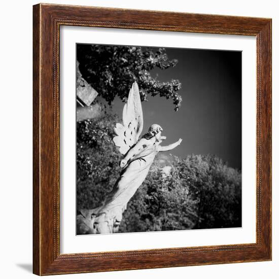 Whitescape-Craig Roberts-Framed Photographic Print