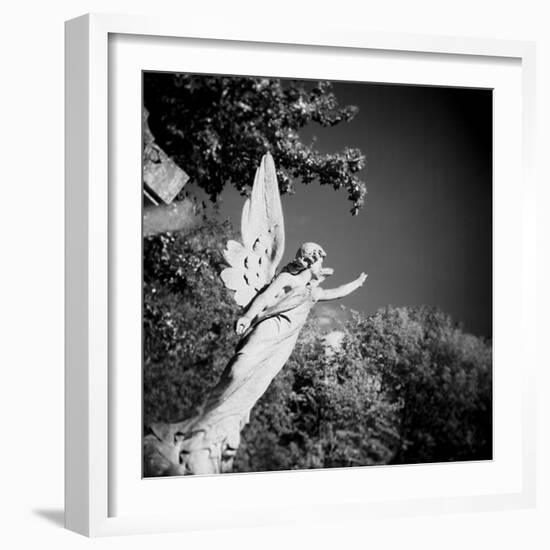 Whitescape-Craig Roberts-Framed Photographic Print