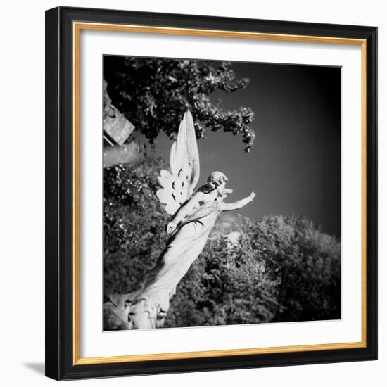 Whitescape-Craig Roberts-Framed Photographic Print