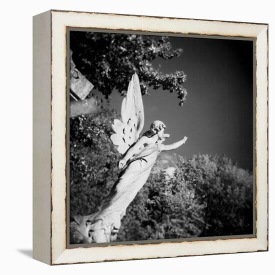 Whitescape-Craig Roberts-Framed Premier Image Canvas