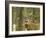 Whitetail Deer Buck in Whitefish, Montana, Usa-Chuck Haney-Framed Photographic Print