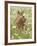 Whitetail Deer Fawn Among Oxeye Daisy, in Captivity, Sandstone, Minnesota, USA-James Hager-Framed Photographic Print