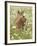 Whitetail Deer Fawn Among Oxeye Daisy, in Captivity, Sandstone, Minnesota, USA-James Hager-Framed Photographic Print