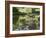 Whitetail Deer Fawn with Reflection, in Captivity, Sandstone, Minnesota, USA-James Hager-Framed Photographic Print