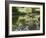 Whitetail Deer Fawn with Reflection, in Captivity, Sandstone, Minnesota, USA-James Hager-Framed Photographic Print