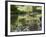 Whitetail Deer Fawn with Reflection, in Captivity, Sandstone, Minnesota, USA-James Hager-Framed Photographic Print