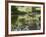 Whitetail Deer Fawn with Reflection, in Captivity, Sandstone, Minnesota, USA-James Hager-Framed Photographic Print