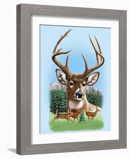 Whitetail Deer Montage Spring-William Vanderdasson-Framed Giclee Print