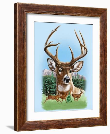 Whitetail Deer Montage Spring-William Vanderdasson-Framed Giclee Print