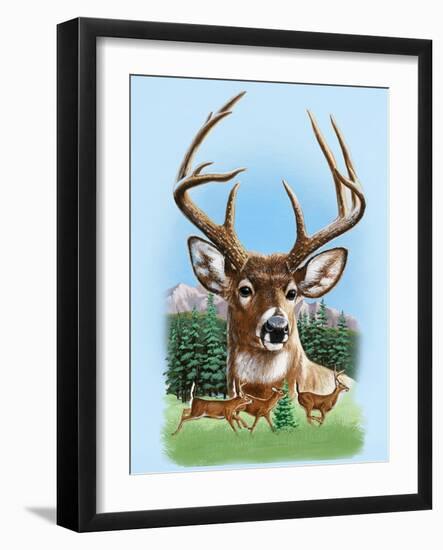 Whitetail Deer Montage Spring-William Vanderdasson-Framed Giclee Print