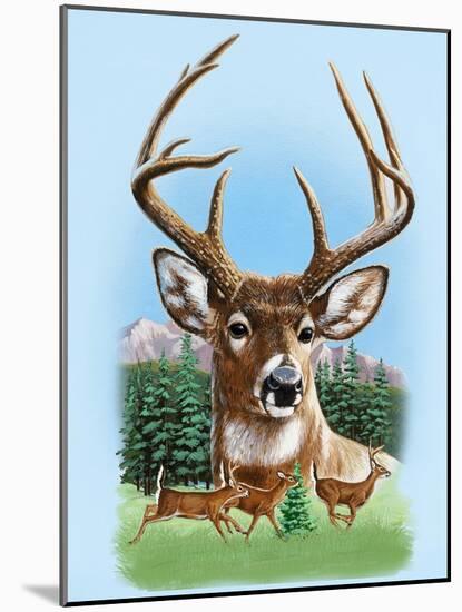 Whitetail Deer Montage Spring-William Vanderdasson-Mounted Giclee Print