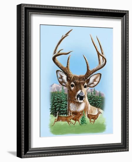 Whitetail Deer Montage Spring-William Vanderdasson-Framed Giclee Print