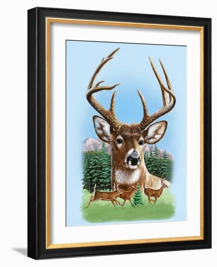 Whitetail Deer Montage Spring-William Vanderdasson-Framed Giclee Print