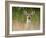 Whitetail Deer (Odocoileus Virginianus) Doe, Stillwater County, Montana, USA-James Hager-Framed Photographic Print