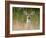 Whitetail Deer (Odocoileus Virginianus) Doe, Stillwater County, Montana, USA-James Hager-Framed Photographic Print