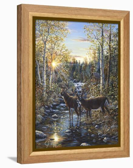 Whitetail Deer-Jeff Tift-Framed Premier Image Canvas