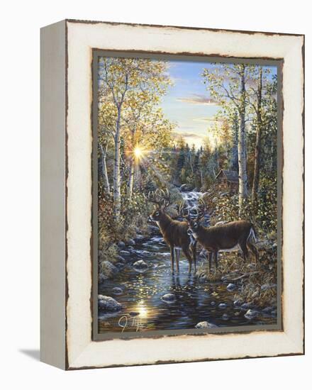 Whitetail Deer-Jeff Tift-Framed Premier Image Canvas