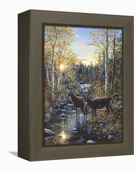 Whitetail Deer-Jeff Tift-Framed Premier Image Canvas