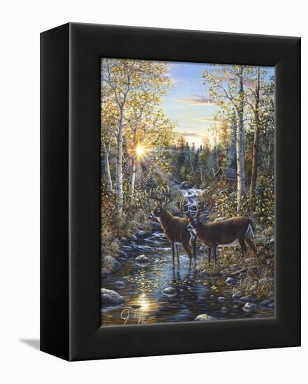 Whitetail Deer-Jeff Tift-Framed Premier Image Canvas