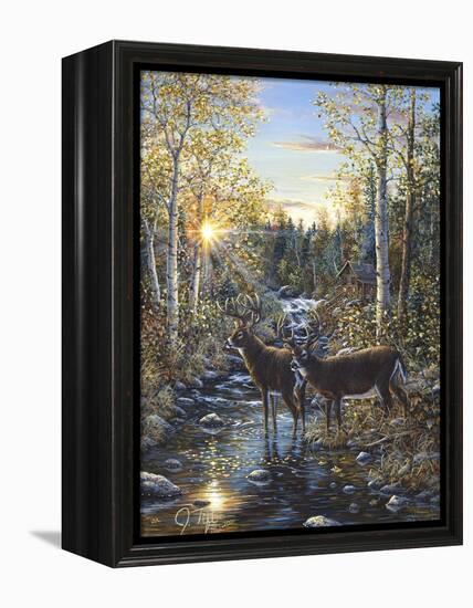 Whitetail Deer-Jeff Tift-Framed Premier Image Canvas