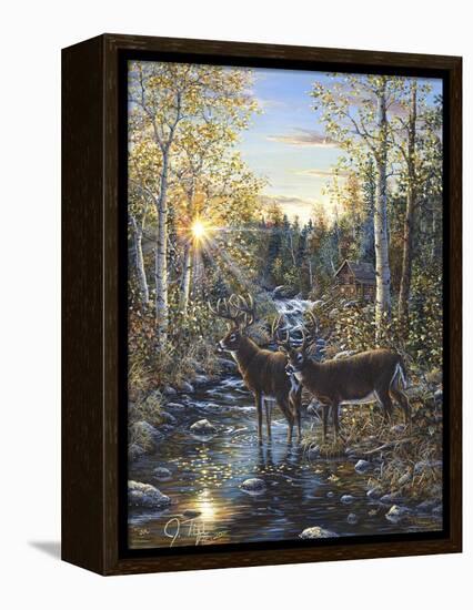 Whitetail Deer-Jeff Tift-Framed Premier Image Canvas