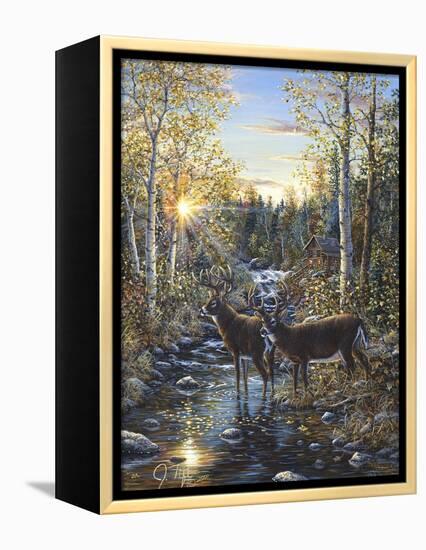 Whitetail Deer-Jeff Tift-Framed Premier Image Canvas